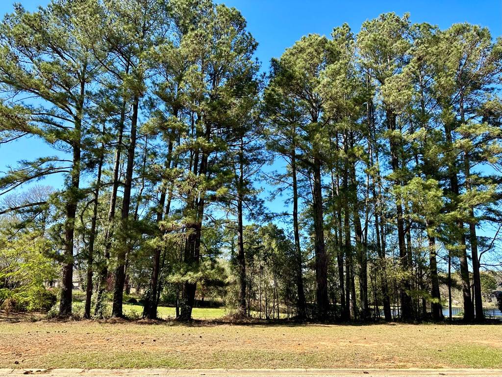 Sumter, SC 29150,245 Idlelake Ct