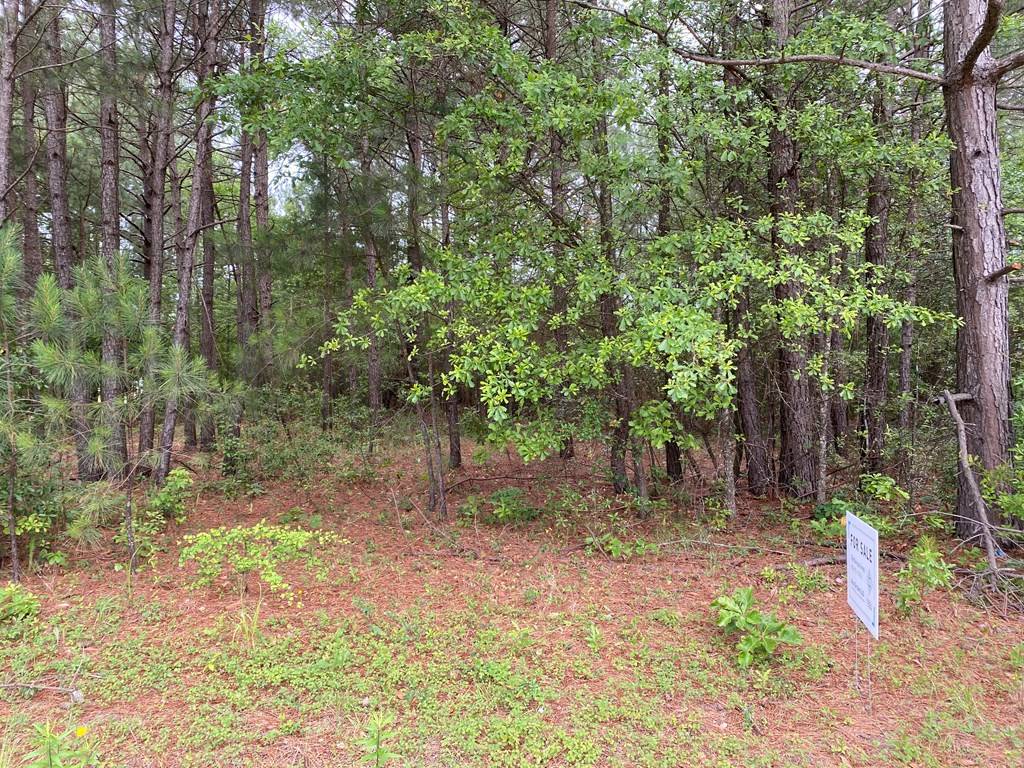 Wedgefield, SC 29168,1500 HIDDEN OAKS/1380 CIR