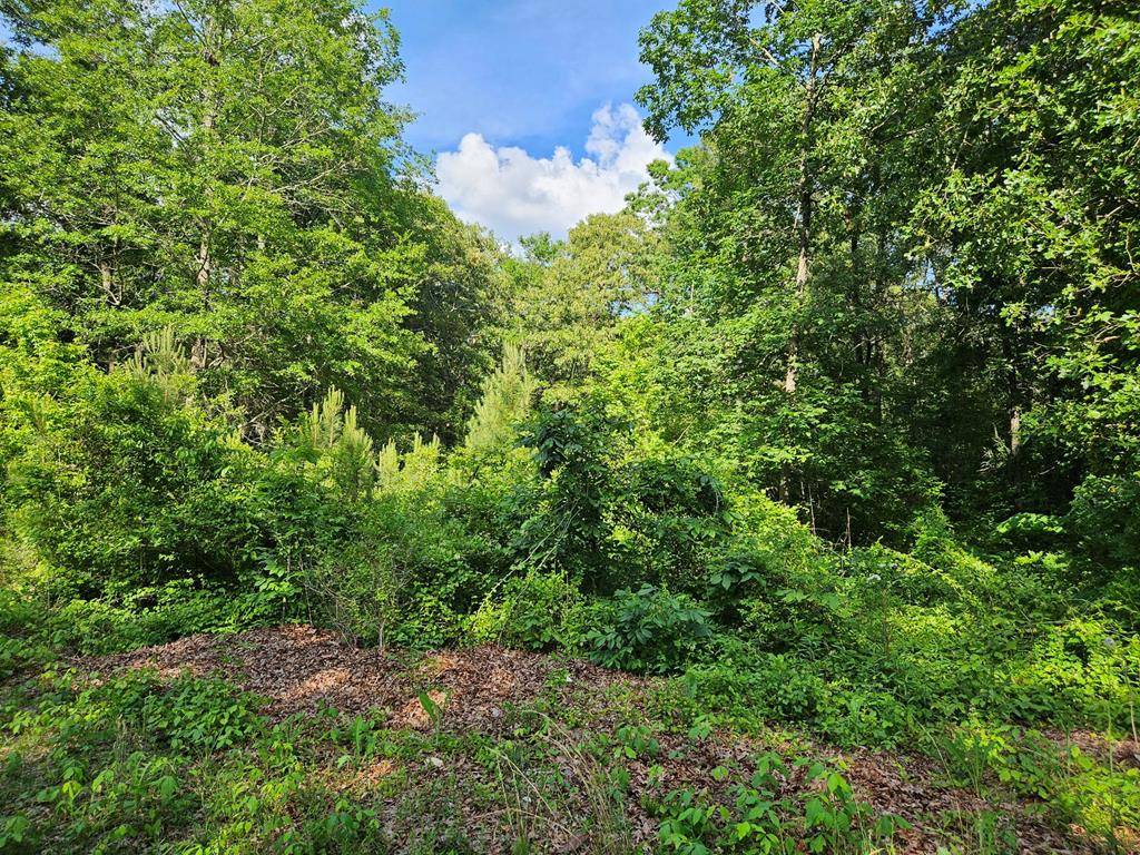 TBD Stukes Road, Manning, SC 29102