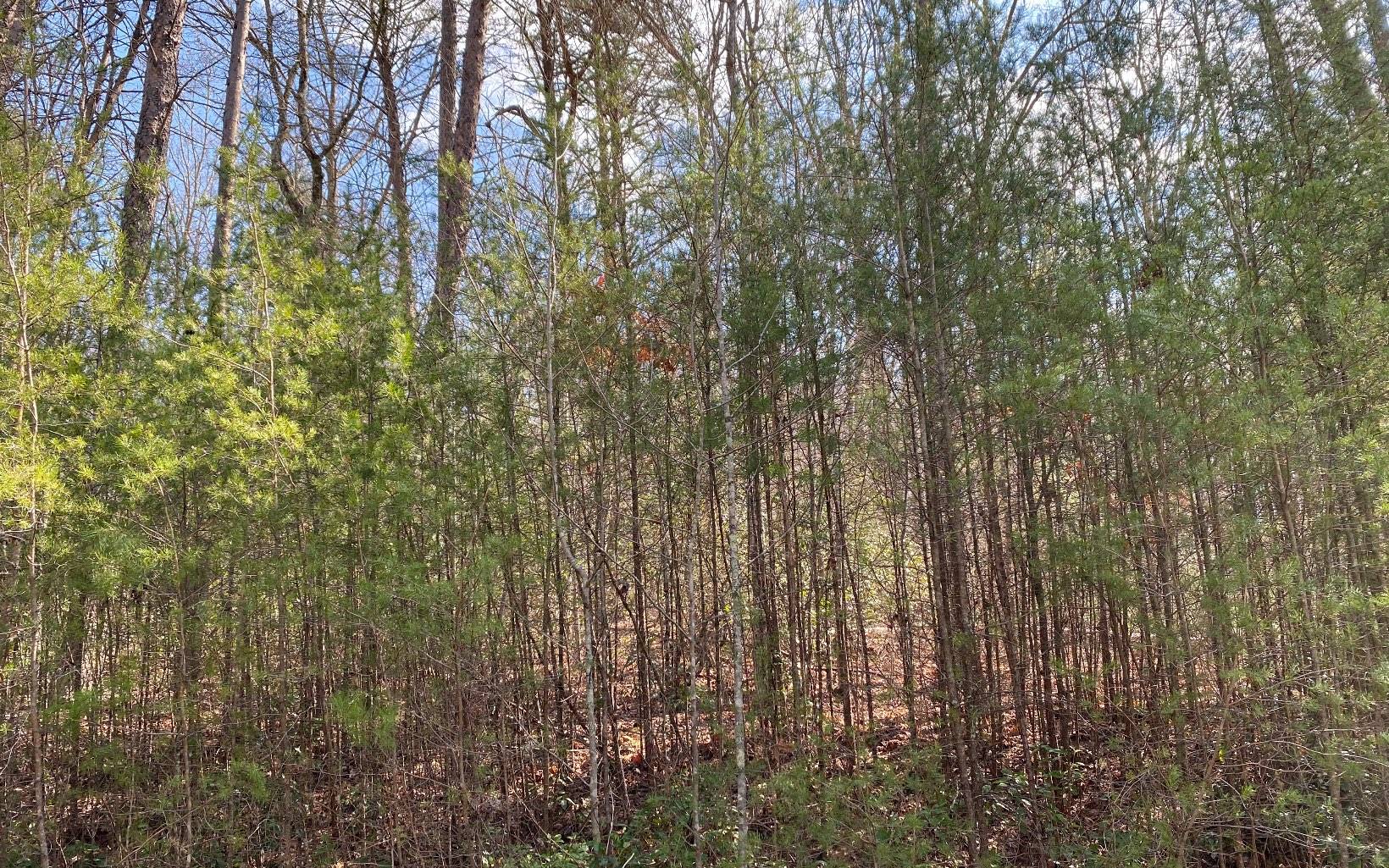 LOT4 Cohutta Overlook Ii, Blue Ridge, GA 30513
