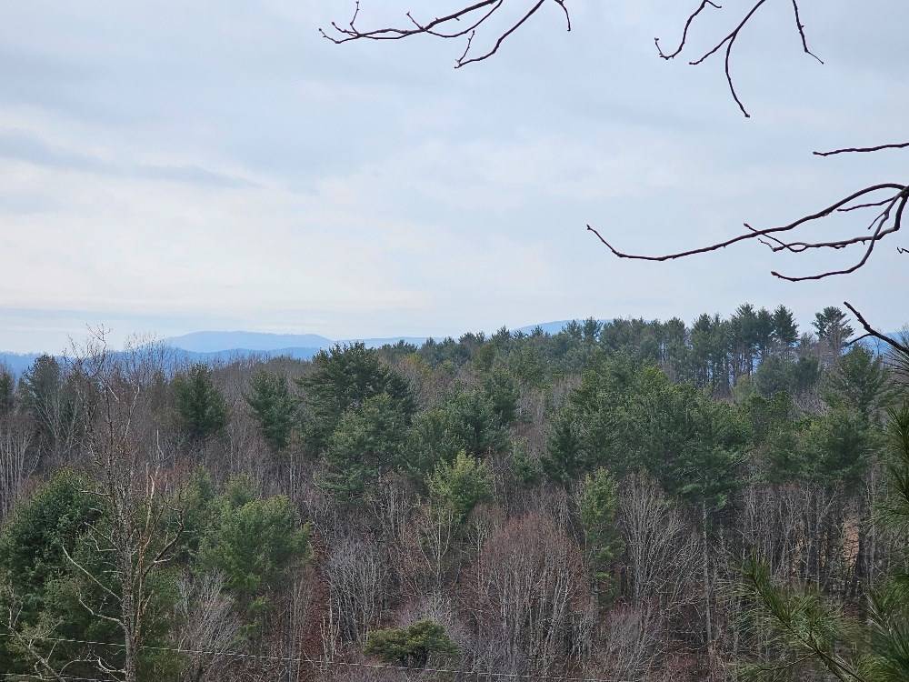 Elk Creek, VA 24326,TBD Hunters Ln