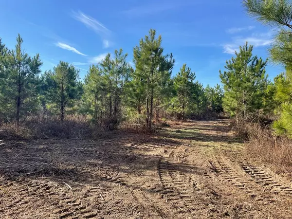 TBT Douglas Swamp Rd, Lynchburg, SC 29080