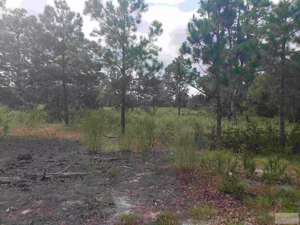 443 Hound Hollow Road, Cassatt, SC 29032