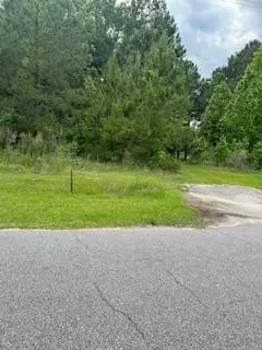 1030 juniper, Gable, SC 29162
