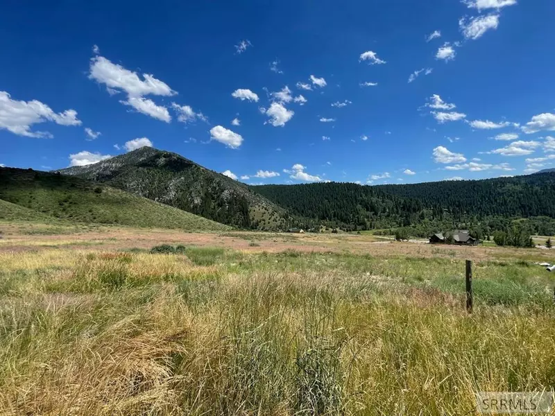 TBD Trail View Road, Irwin, ID 83428