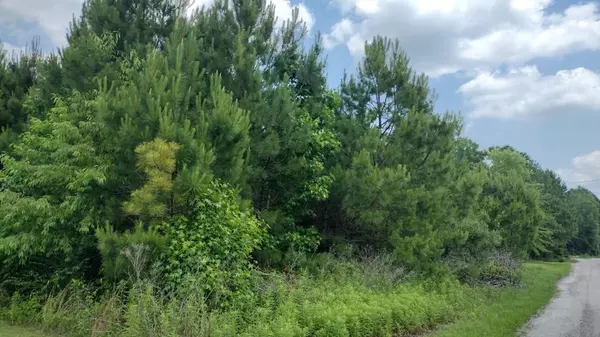 1378 Jeff Dr, Manning, SC 29102