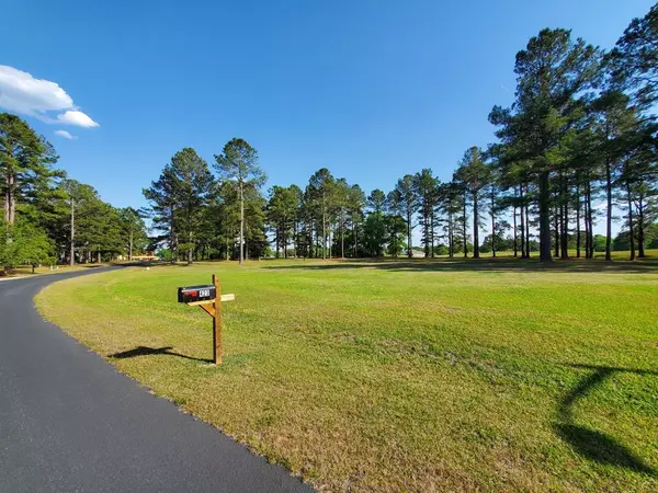 423 Pinelake Court, Manning, SC 29102