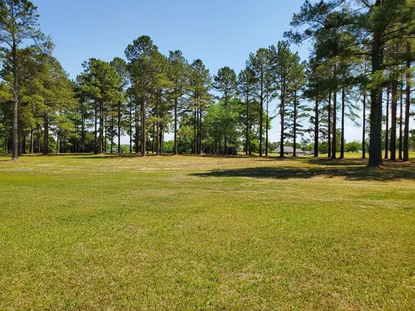Manning, SC 29102,423 Pinelake Court