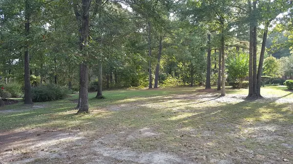 Manning, SC 29102,601 Fern Oak Court (M20)