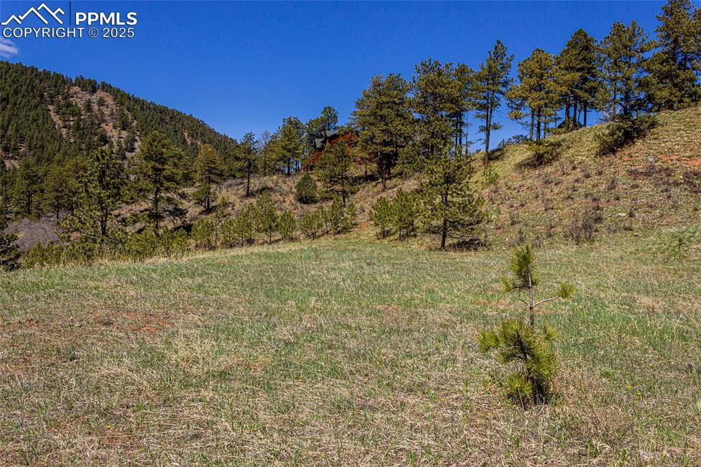 Woodland Park, CO 80863,2721 Mountain Glen CT
