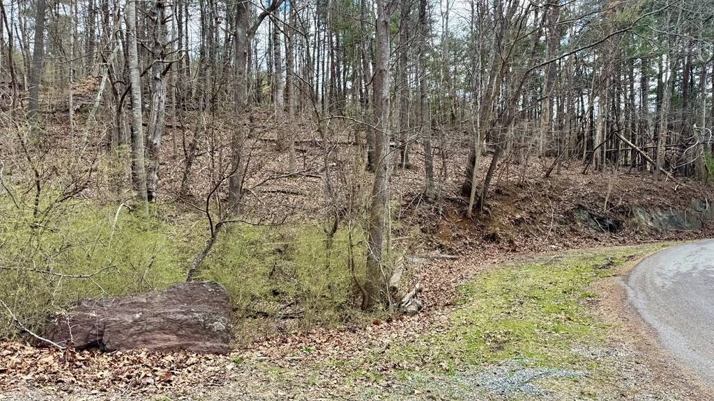 Wytheville, VA 24382,TBD Cherry Blossom Lane