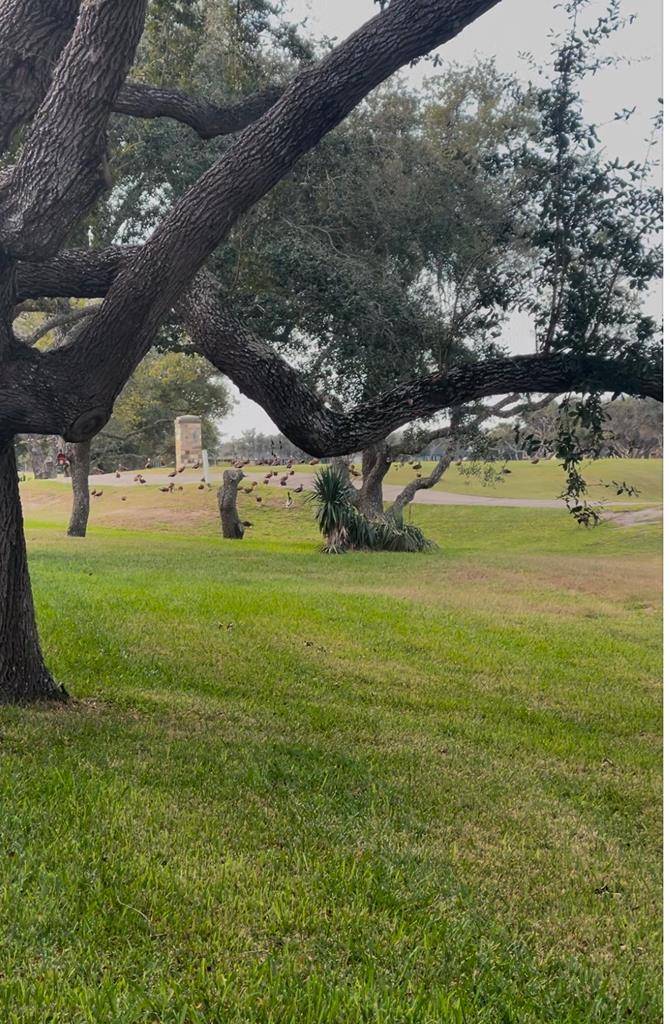 Rockport, TX 78382,404 Cascades Dr