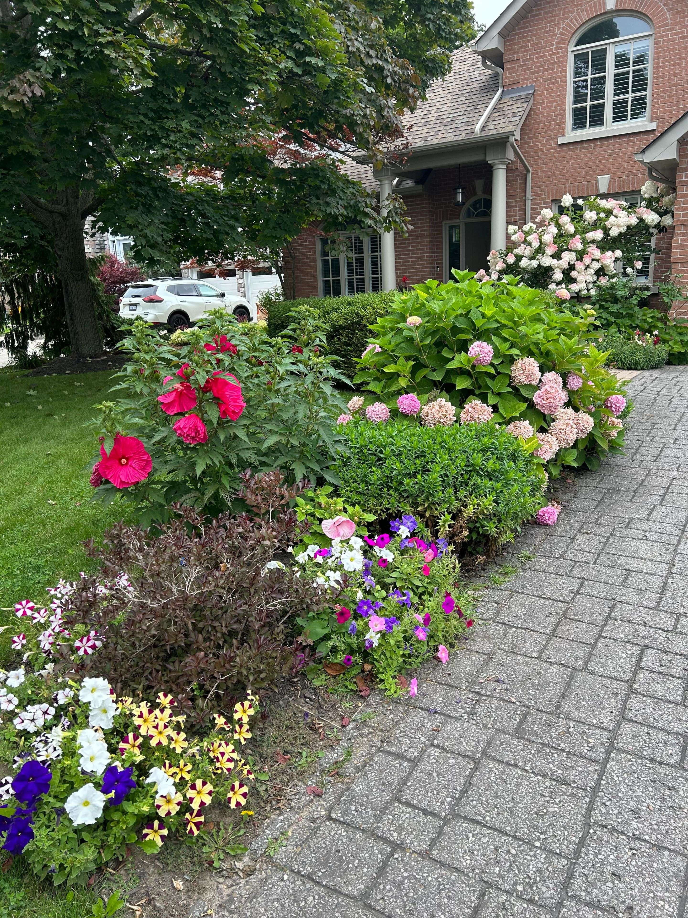 Cobourg, ON K9A 5K3,56 East House CRES
