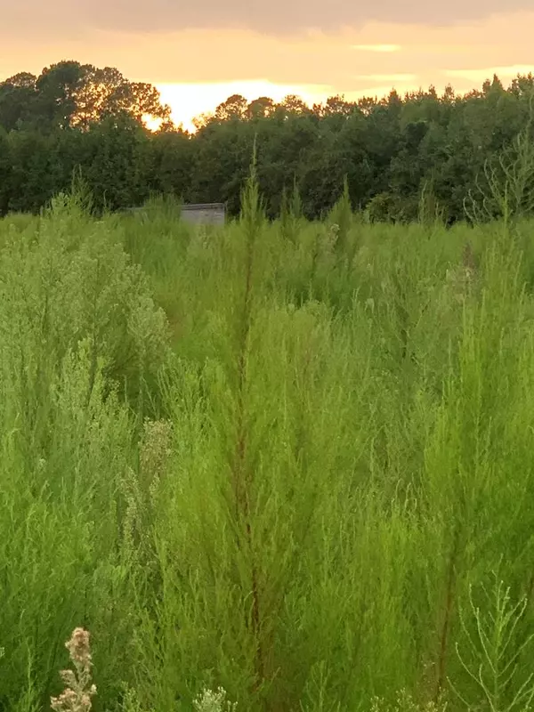 69 Pickle Rd, Salters, SC 29590