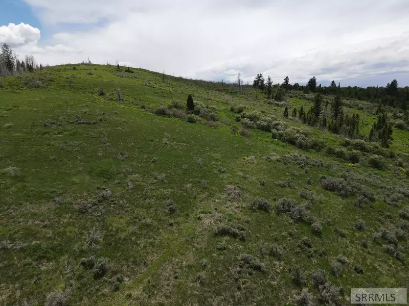0 Caribou Road, Soda Springs, ID 83276