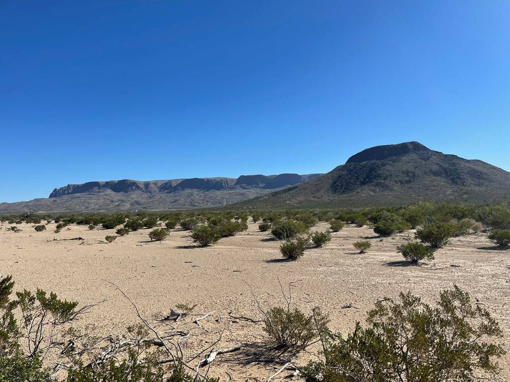 Terlingua, TX 79852,TR G194 Flat Tire Rd