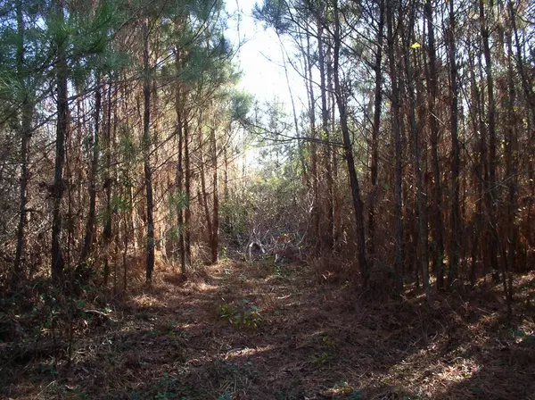 Warrenton, NC 27589,0 Luna Road