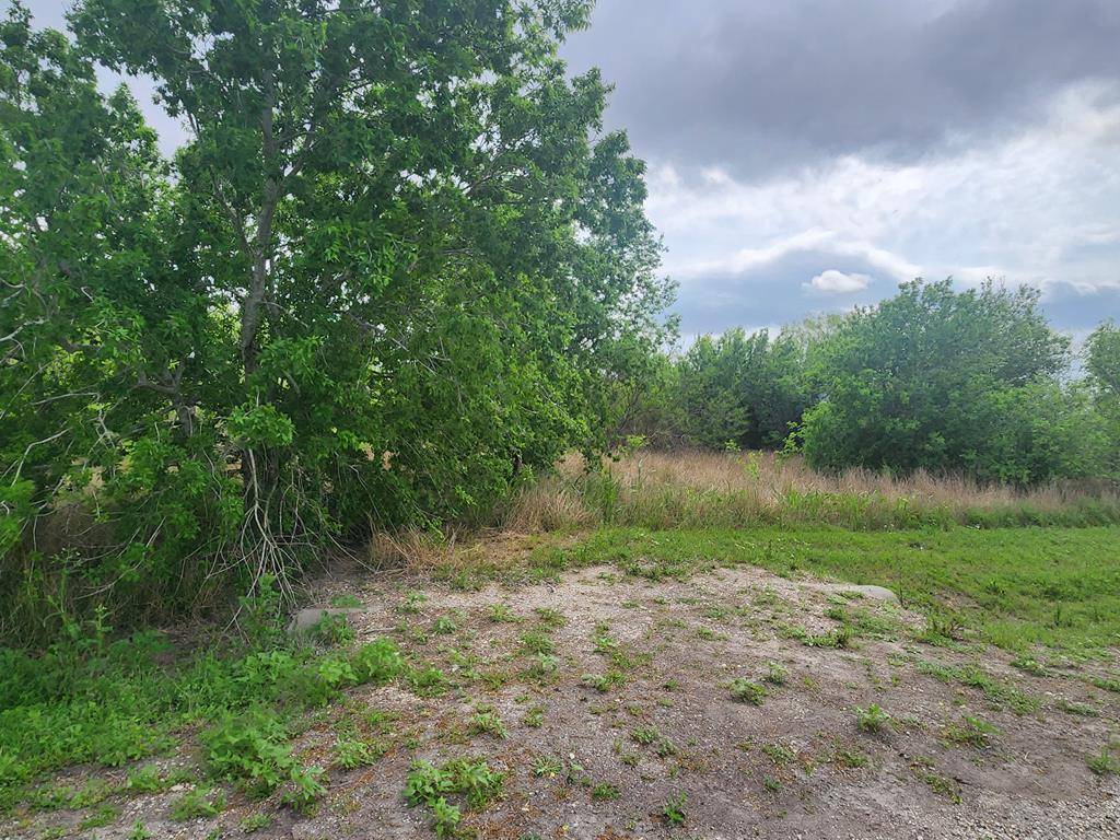 0 14D County rd, Bishop, TX 78343