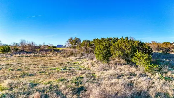 Possum Kingdom Lake, TX 76449,Lot 217R Oak Tree Drive
