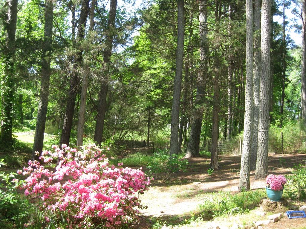 Other, NC 27704,2703 Joyner Rd