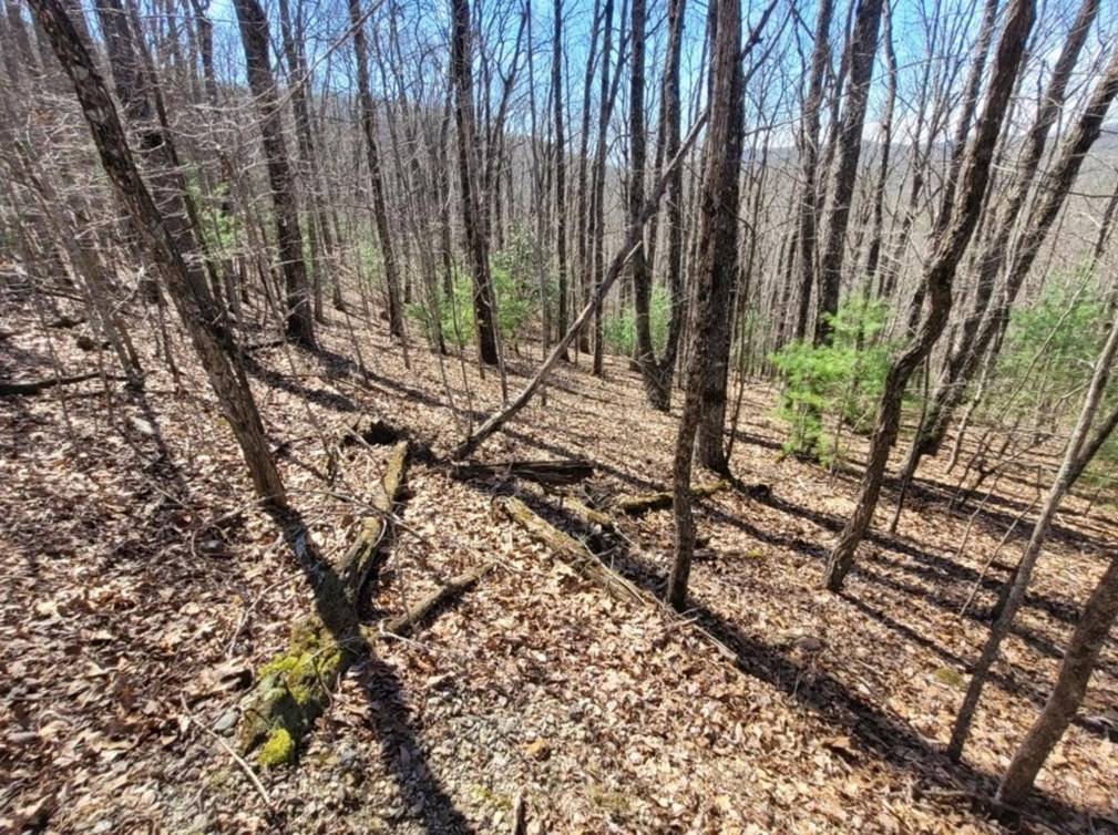Morganton, GA 30560,6.51 High Country Lane