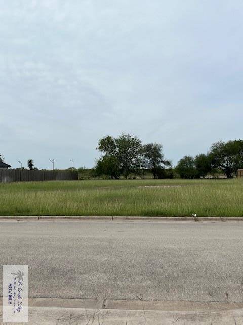 Brownsville, TX 78520,000 HALO AVE.