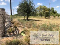 Edinburg, TX 78541,0000 LAZY PALM DR.