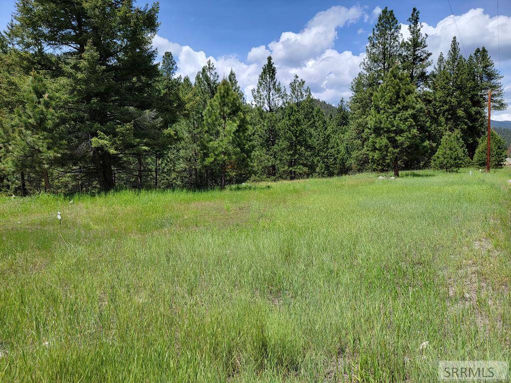 TBD N Hwy 93, Gibbonsville, ID 83463