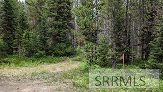 TBD Thorn Road, Island Park, ID 83429