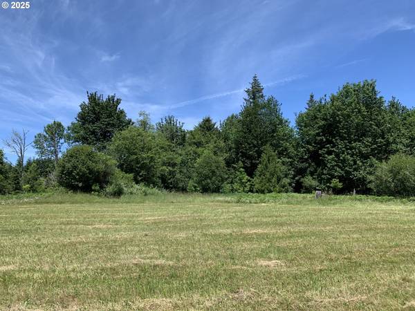 Toutle, WA 98649,171 Mask LN