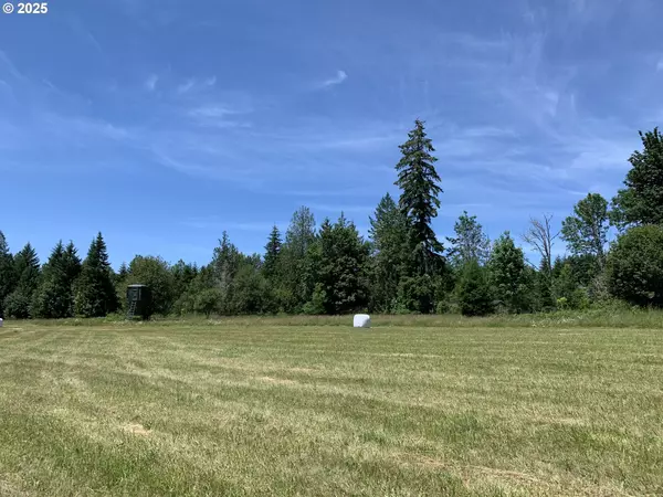 Toutle, WA 98649,171 Mask LN