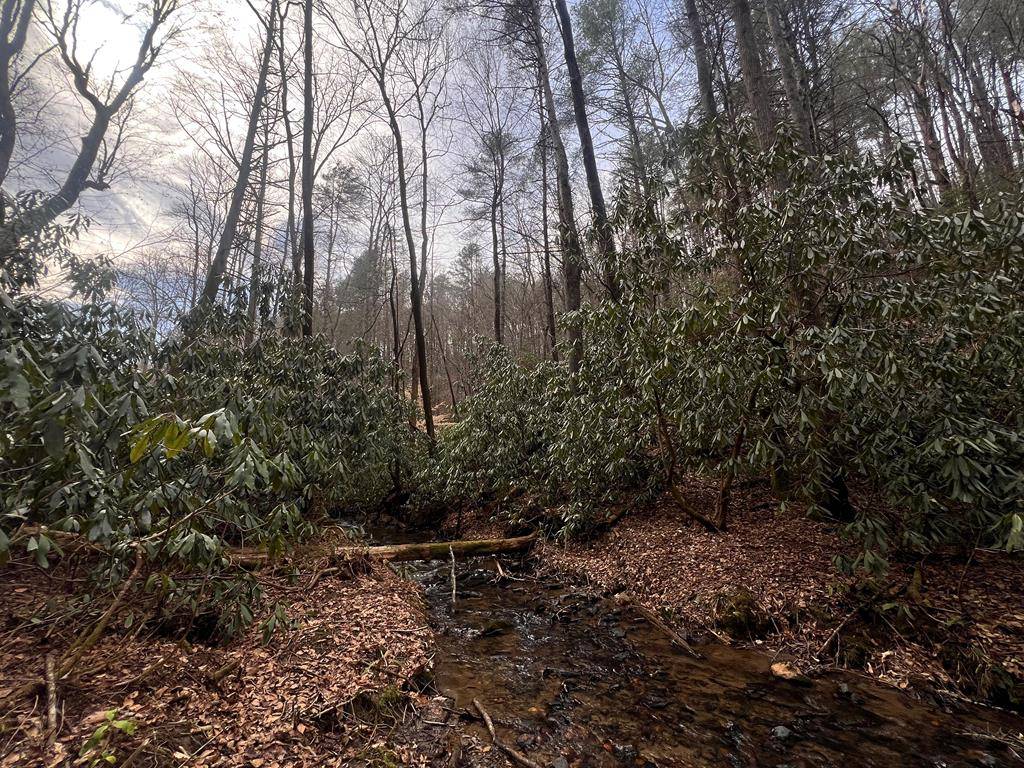 63 Walker Ridge Way, Mineral Bluff, GA 30559