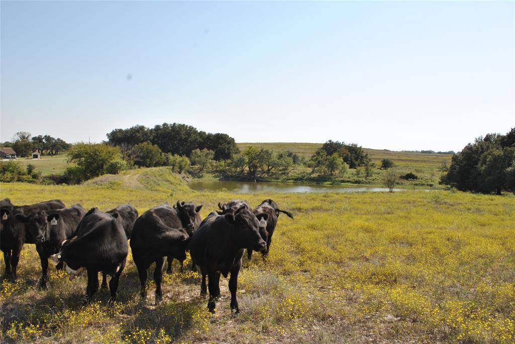Comanche, TX 76442,0000 Hwy 590