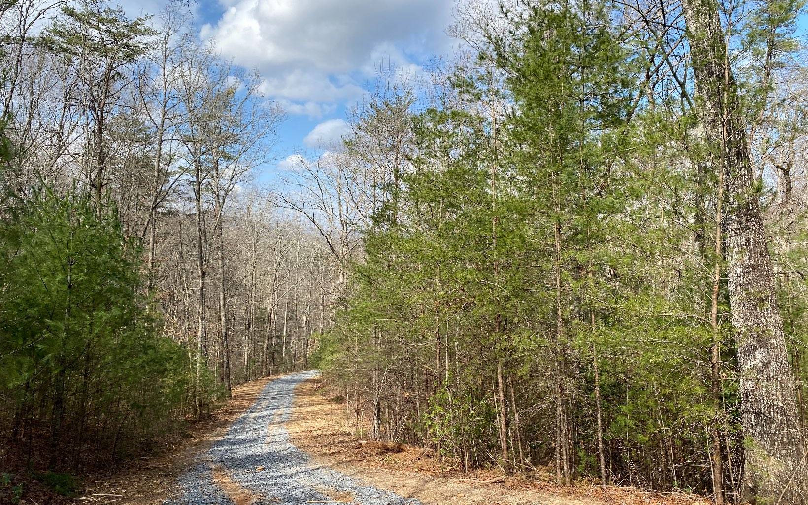 LOT3 Cohutta Overlook Iii, Blue Ridge, GA 30513