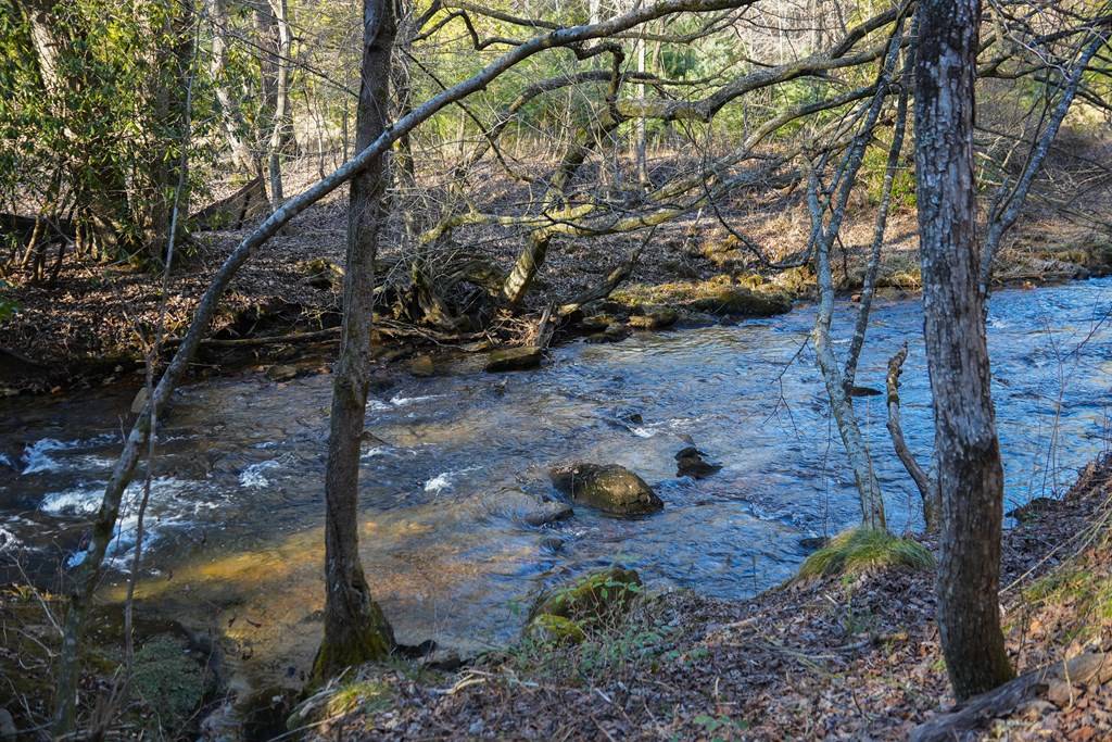 Blue Ridge, GA 30513,1760 Big Creek Road