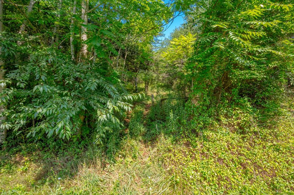 Barren Springs, VA 24313,Lot 22 Lone Ash Rd
