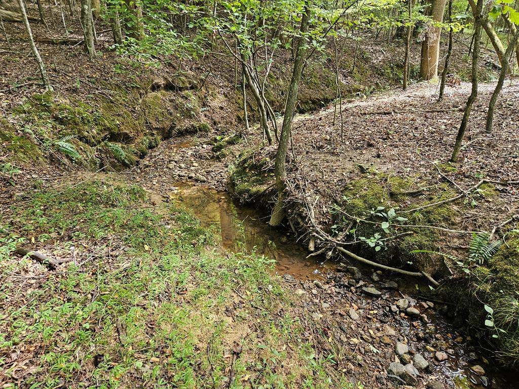 Stoneville, NC 27048,00 Grogan Road TK 5
