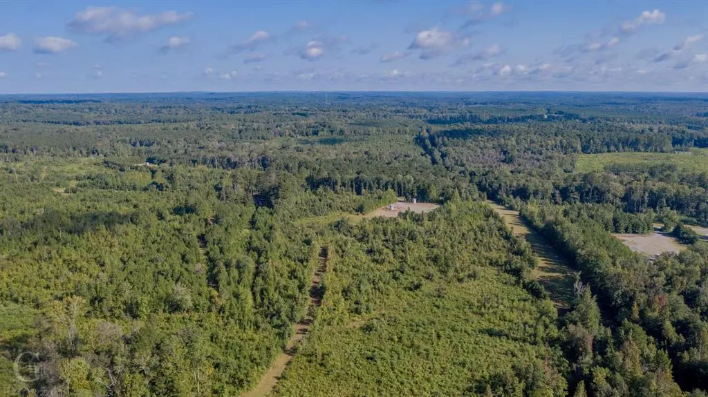 610 SandPlant Cutoff Rd, Dubberly, LA 71024