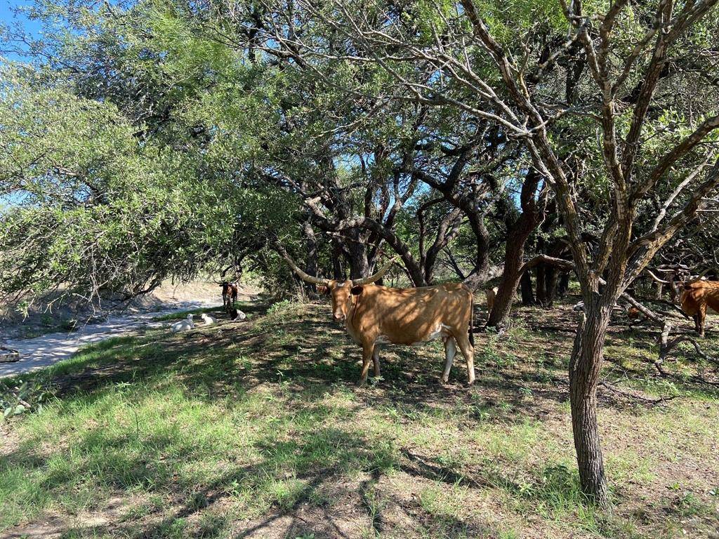 Goldthwaite, TX 76844,TBD F.M. 3023 Highway S