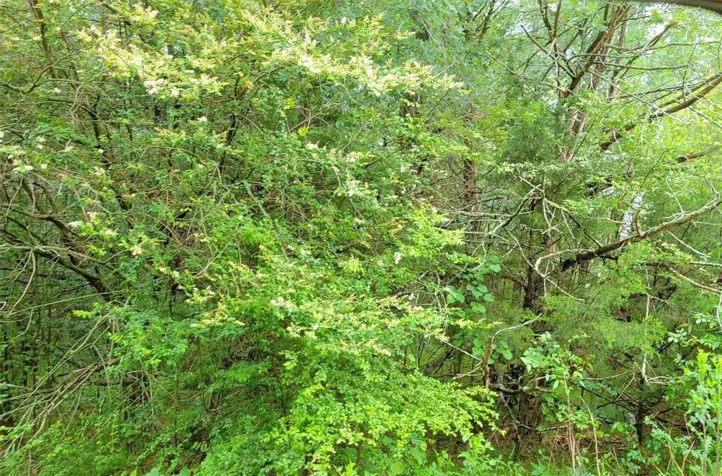 Gordonville, TX 76245,000 Brookshire Drive