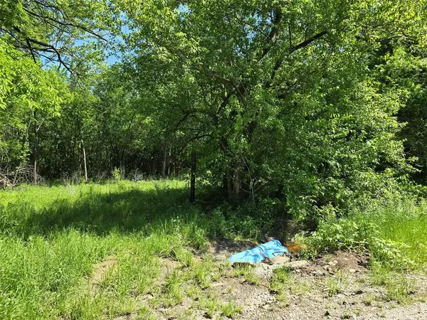 Greenville, TX 75401,861 CR-1117