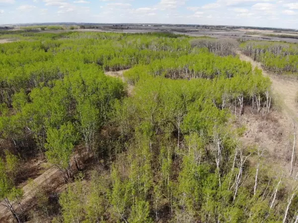 450031 73 Range, Rural Wainwright No. 61 M.d. Of, AB T9W 1L5