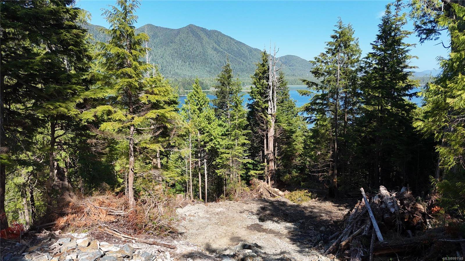 Tofino, BC V0R 2Z0,711 & 722 Campbell St