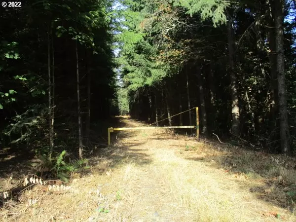 Scotts Mills, OR 97375,0 Hazelnut Ridge RD