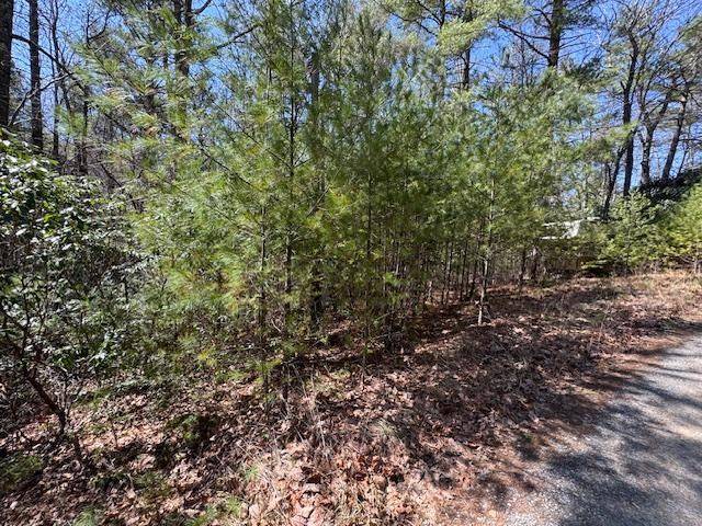 Sugar Grove, VA 24375,0 Buck Hollow Trail