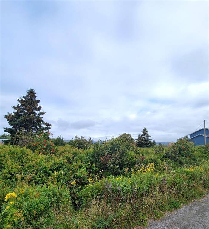 70A CENTRAL Street, Bay Roberts, NL A0A 1G0