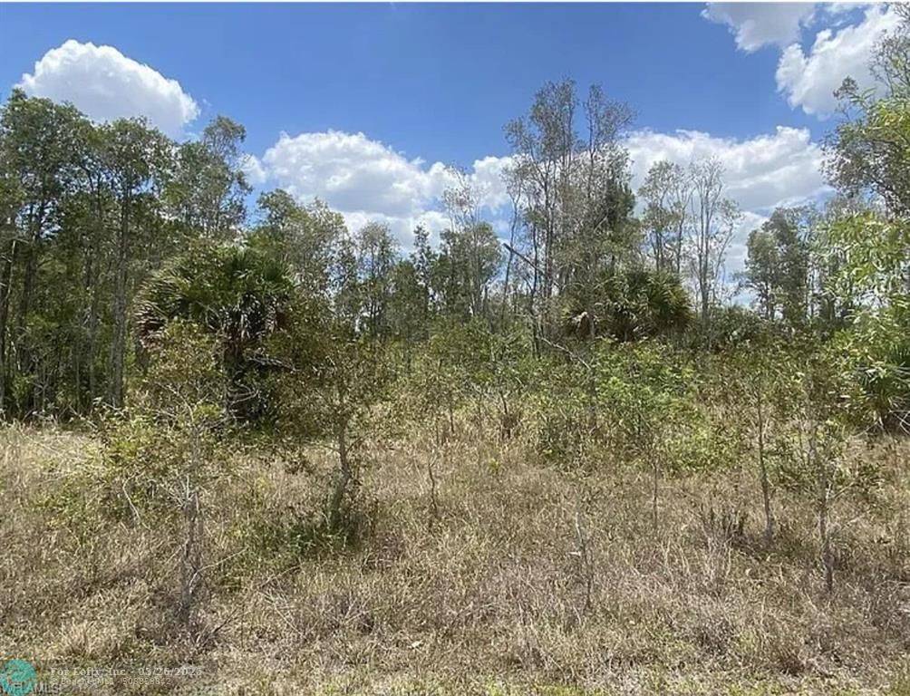 Lehigh Acres, FL 33974,318 Kerrsdale Cir