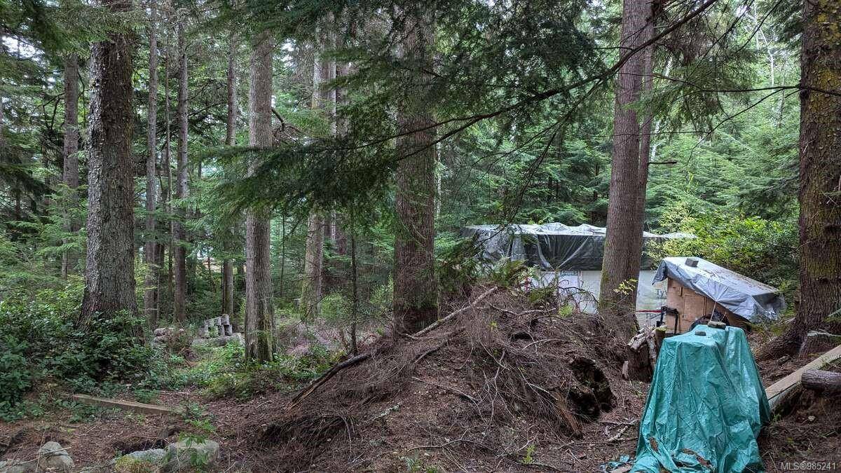 Alert Bay, BC V0N 1A0,542E Larch St