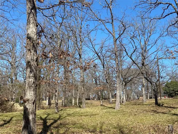 Malakoff, TX 75148,124 Point La Vista