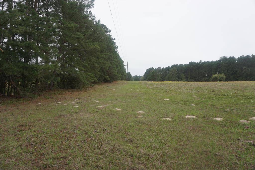 Bedias, TX 77831,11422 County Road 177